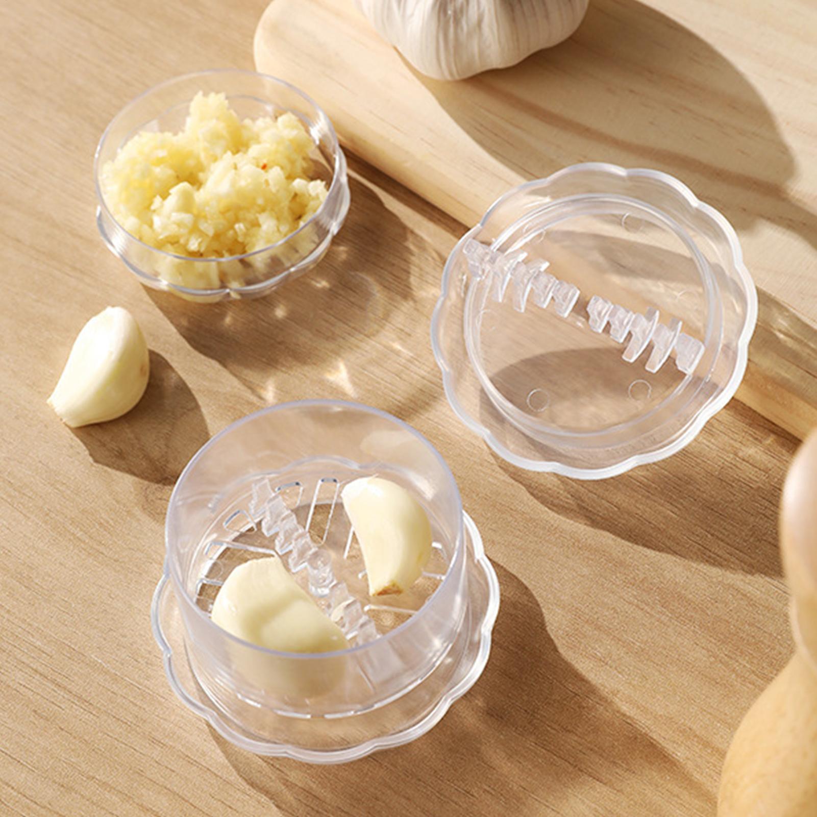 Manual Garlic Grinder Ginger T - Home Cooking Chef ulasan dan harga
