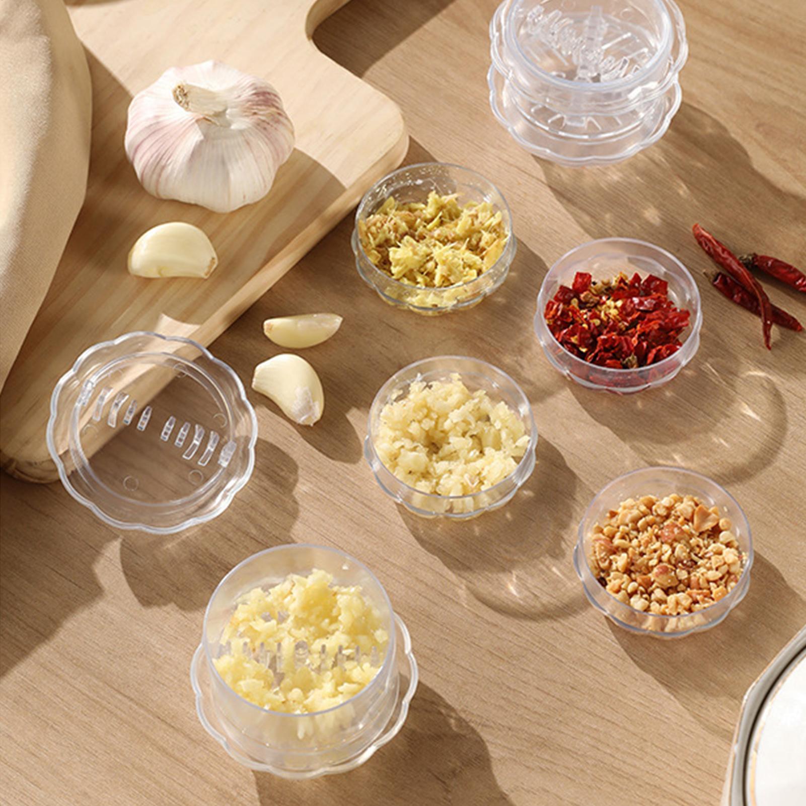 Manual Garlic Grinder Ginger T - Home Cooking Chef ulasan dan harga